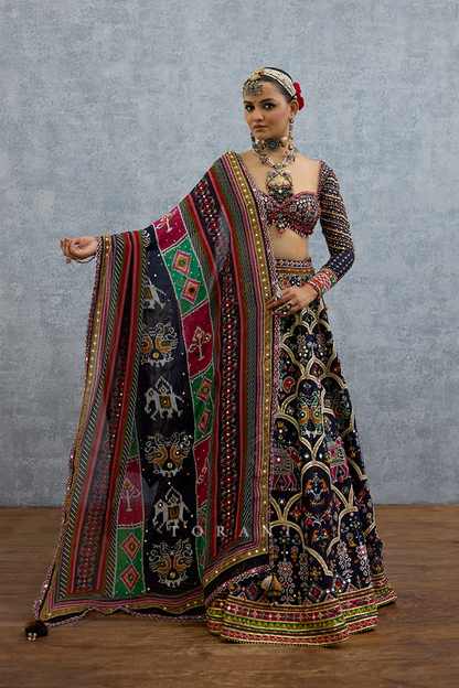 Virasa Chitraka Lehenga Set