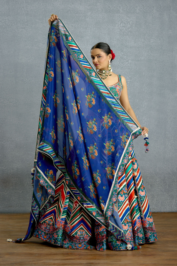 Mayurika Neelnaa Lehenga Set