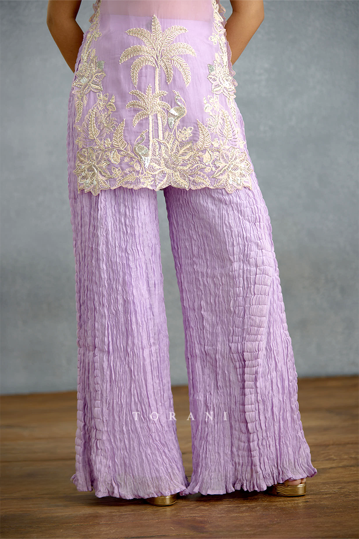 Nairika Chandra Chaandni Set