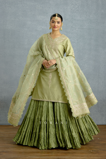 Pusta Noor Kurta Skirt Set