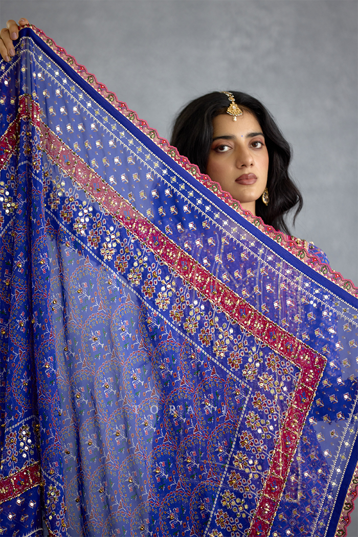 Niladri Atasi Sharara Set