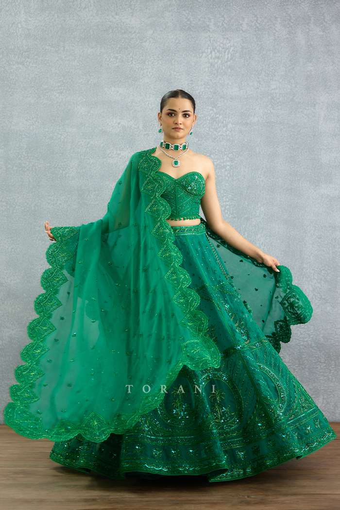 Parnabha Ayra Lehenga Set