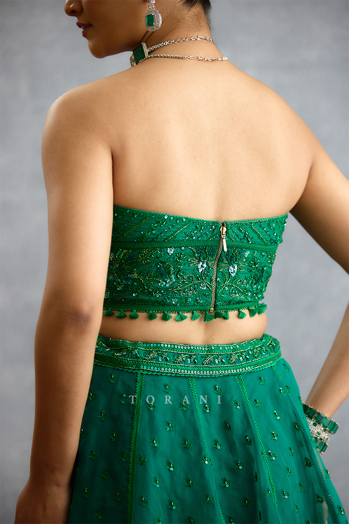 Parnabha Ayra Lehenga Set