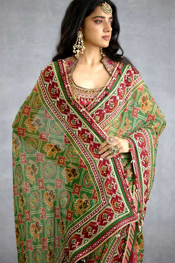 Trinaja Surkhi Ameesha Saree