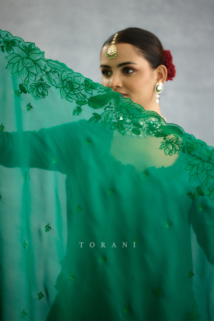 Parnabha Aanya Odhni