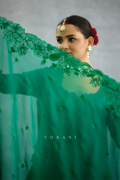 Parnabha Aanya Odhni