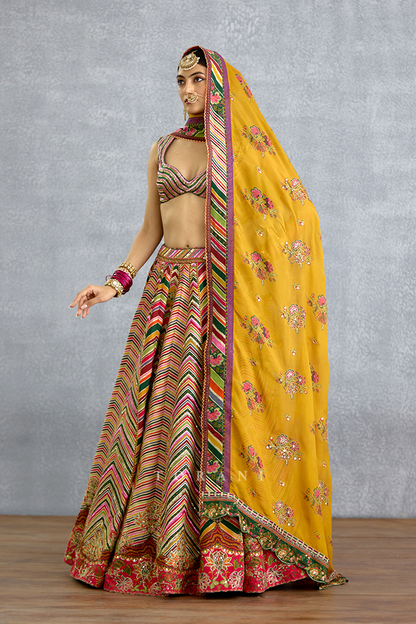 Chitrangi Nihita Odhni