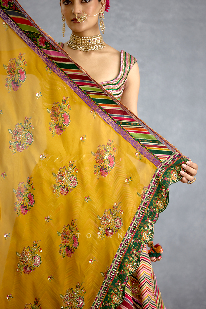 Chitrangi Nihita Vinisha Lehenga Set