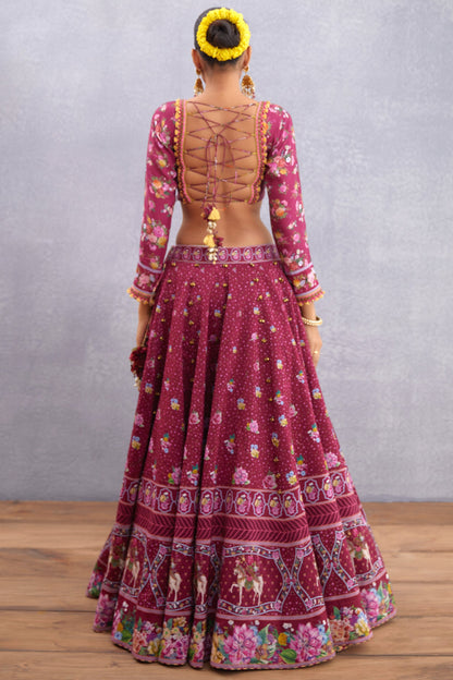 Manika Aoruni Lehenga Set