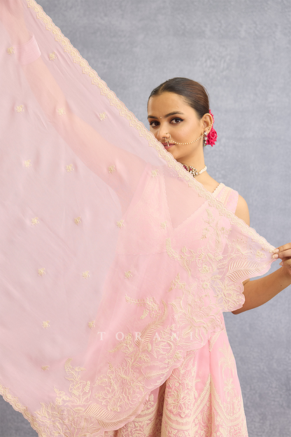 Gulaban Bhanavi Sharara Set