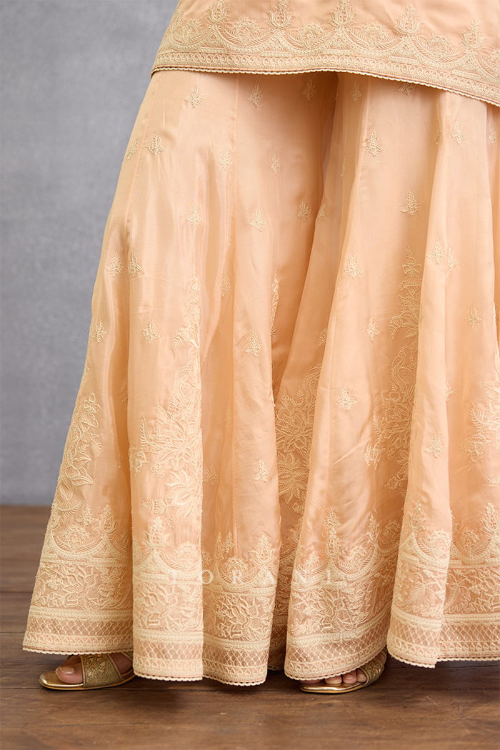 Gul-Mohar Dyuti Sharara Set