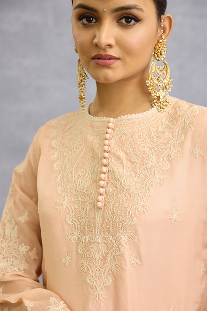 Gul-Mohar Dyuti Sharara Set