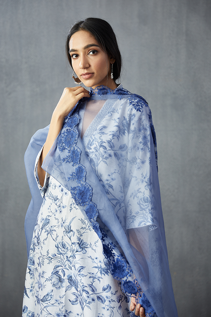 Neeli Gauraiya Geetha Kurta Set