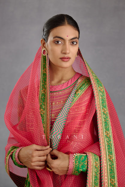 Rang Raas Shehnaaz Odhni