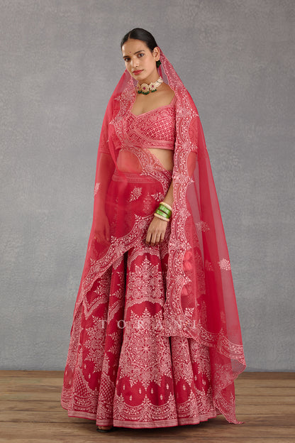 Rang Raas Meher Passa Lehenga Set