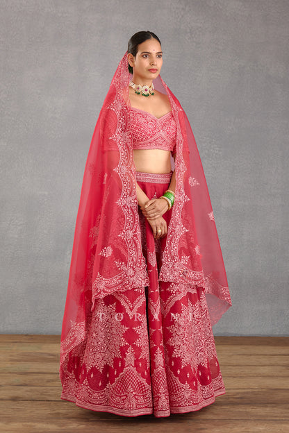Rang Raas Meher Passa Lehenga Set