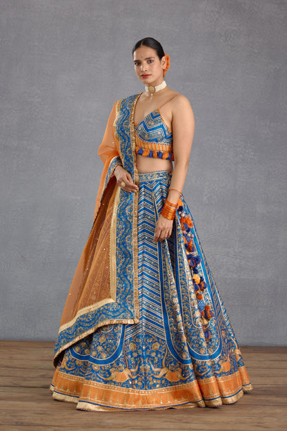 Rang Shyam Hayat Lehenga Set