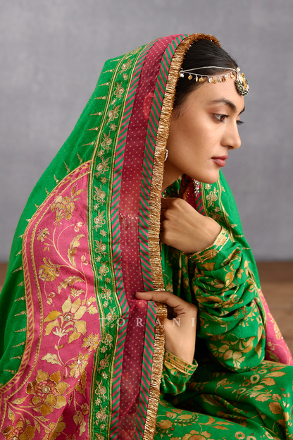Rang Naaz Zeenat Odhni