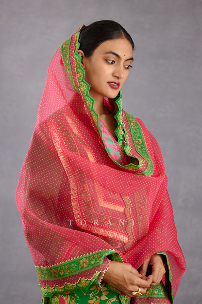 Rang Raas Tahmina Odhni