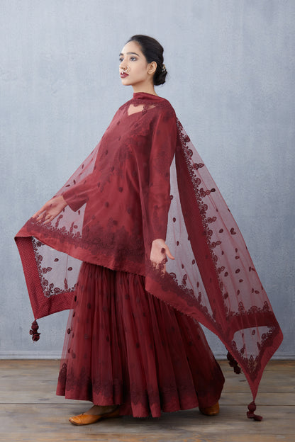 Mahogany Vedika Sharara Set