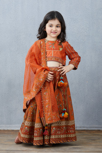 Narangi Sibani Lehenga Set