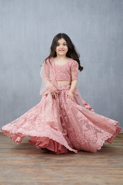 Gulaab Hansini Lehenga Set