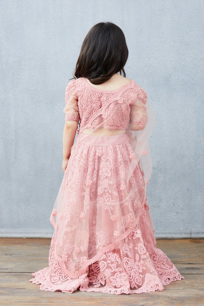 Gulaab Hansini Lehenga Set