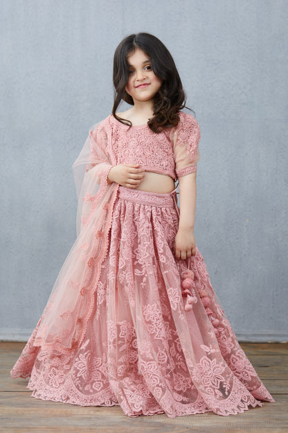 Gulaab Hansini Lehenga Set