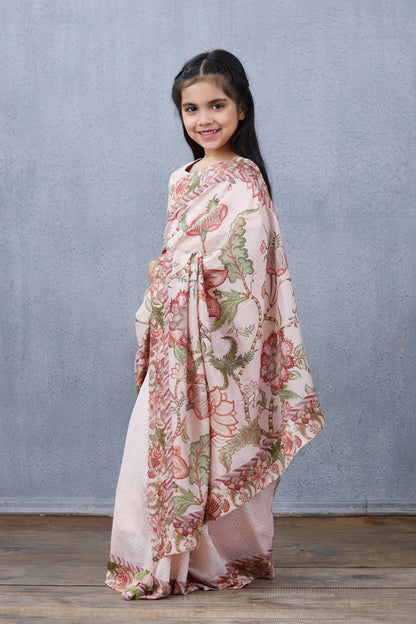 Gulbahari Chandani Saree Set