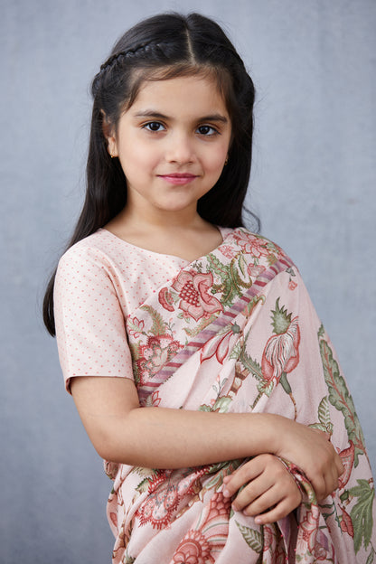 Gulbahari Chandani Saree Set