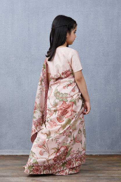 Gulbahari Chandani Saree Set