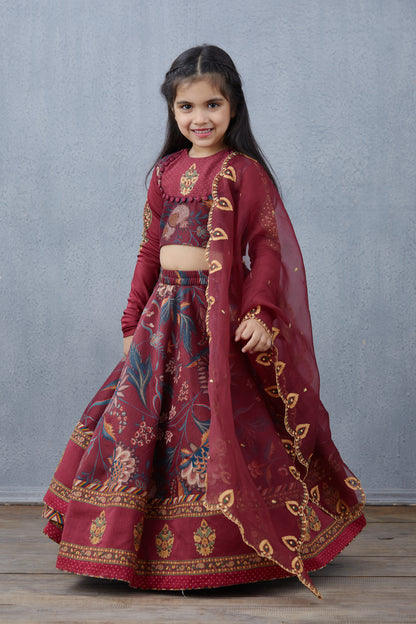 Bhura Anardana Lehenga Set