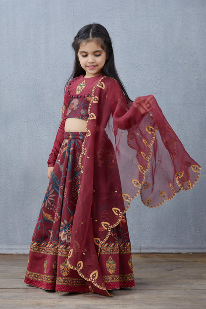 Bhura Anardana Lehenga Set