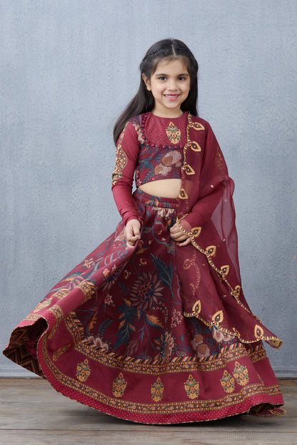 Bhura Anardana Lehenga Set