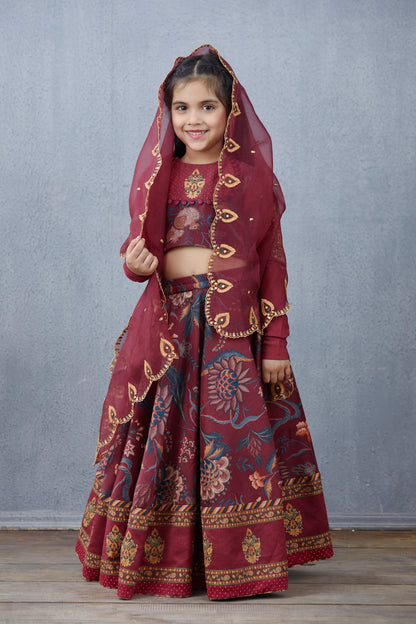 Bhura Anardana Lehenga Set