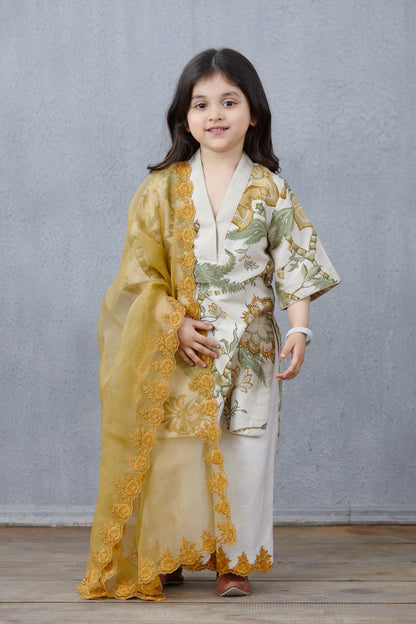 Sarso Namra Kurta Set