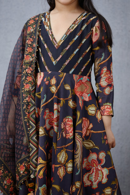 Nisha Mastani Anarkali Set