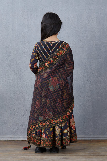 Nisha Mastani Anarkali Set