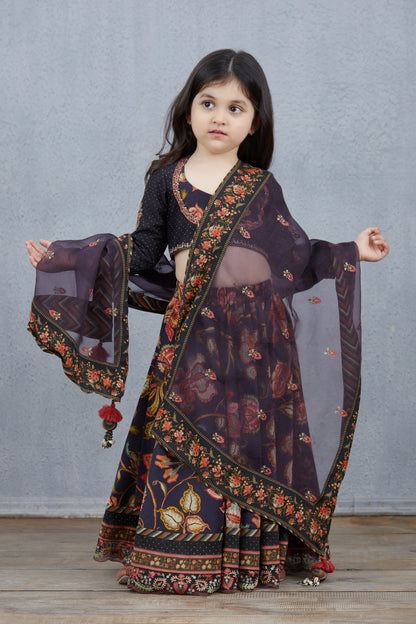 Nisha Kumud Lehenga Set