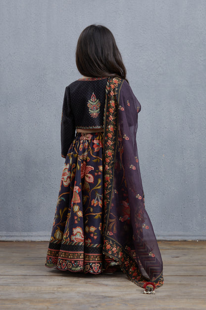 Nisha Kumud Lehenga Set