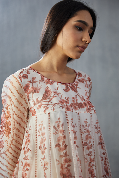 Bhuri Gauraiya Swati Kurta Set