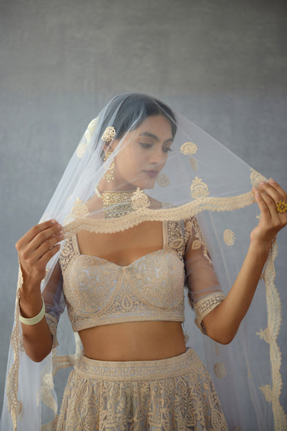 Samsara Hansini Odhni