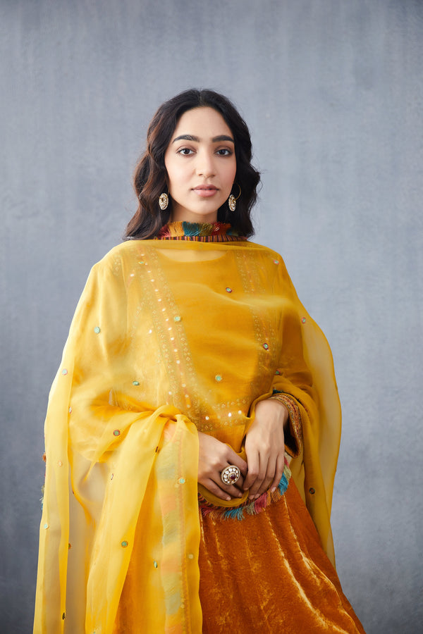 Yellow KURTA SET in silk velvet
