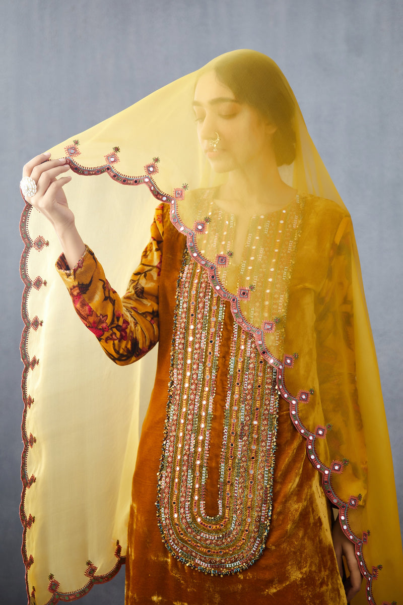 Silk Velvet kurta salwar set with hand embroidery & dupatta in silk organza