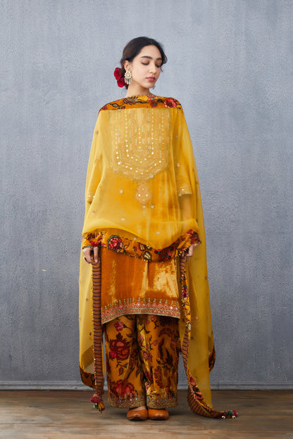 Sunehra Firdous Odhni