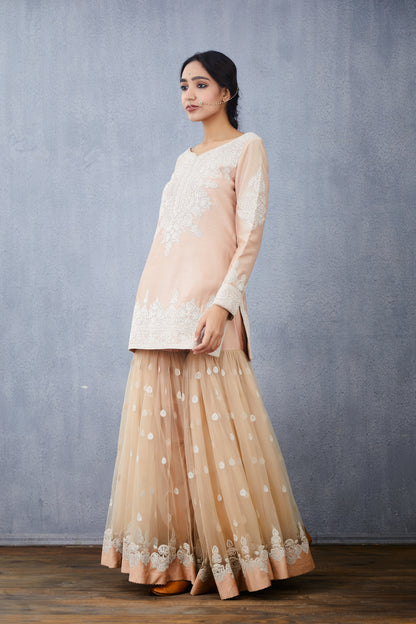 Neera Vedika Sharara Set