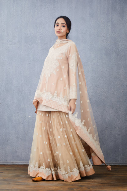 Neera Vedika Sharara Set