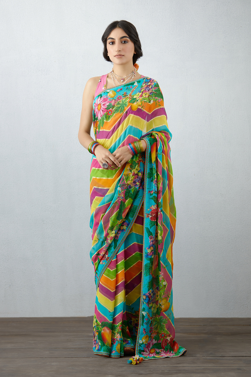 Multicolor saree with Hand Detailing