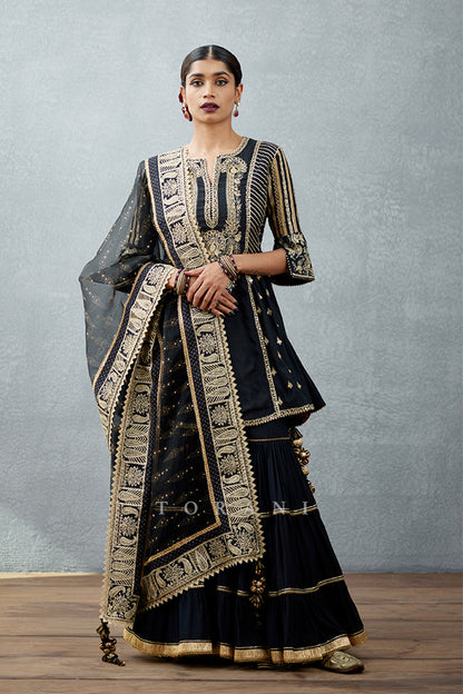 Gulghast Aarya Sharara Set