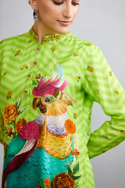 Angoori Hiraman Tota Co-ord Set